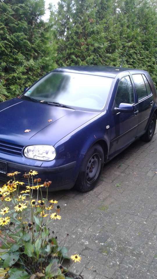 Volkswagen Golf Golf 1.6 Highline
