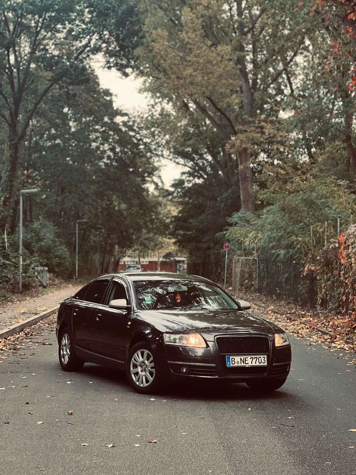 Audi A6 Audi A6 c6 V6 24 benzin