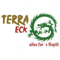 Reptilien, Chamäleon, Frosch, Gecko, Python, Kornnattern, Leguan, Steppenwaran, Tejus,Vogelspinne,