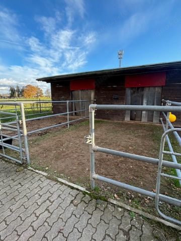Noch 1 Doppelbox ggf. mit Auslauf für 2 Islandpferde in Hanhofen (bei Speyer)