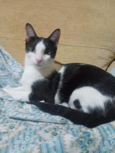 Liebevoller Bubby (ALO)