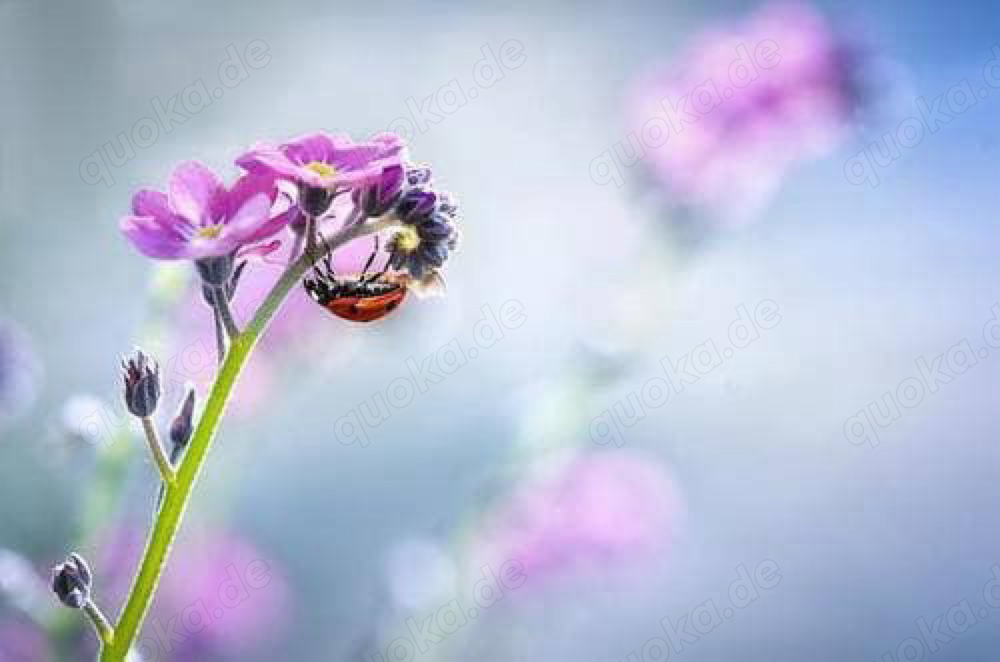 Partnerrückführung holen auch Sie sich Ihr Glück zurück 