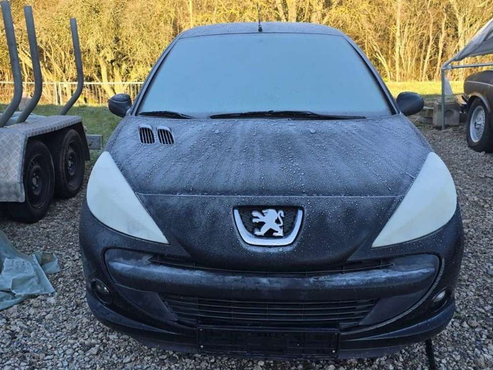 Peugeot 206 206+ 60