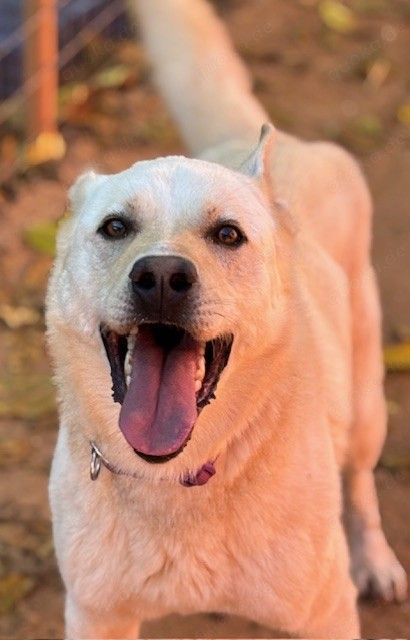 Olympus sucht ein Körbchen