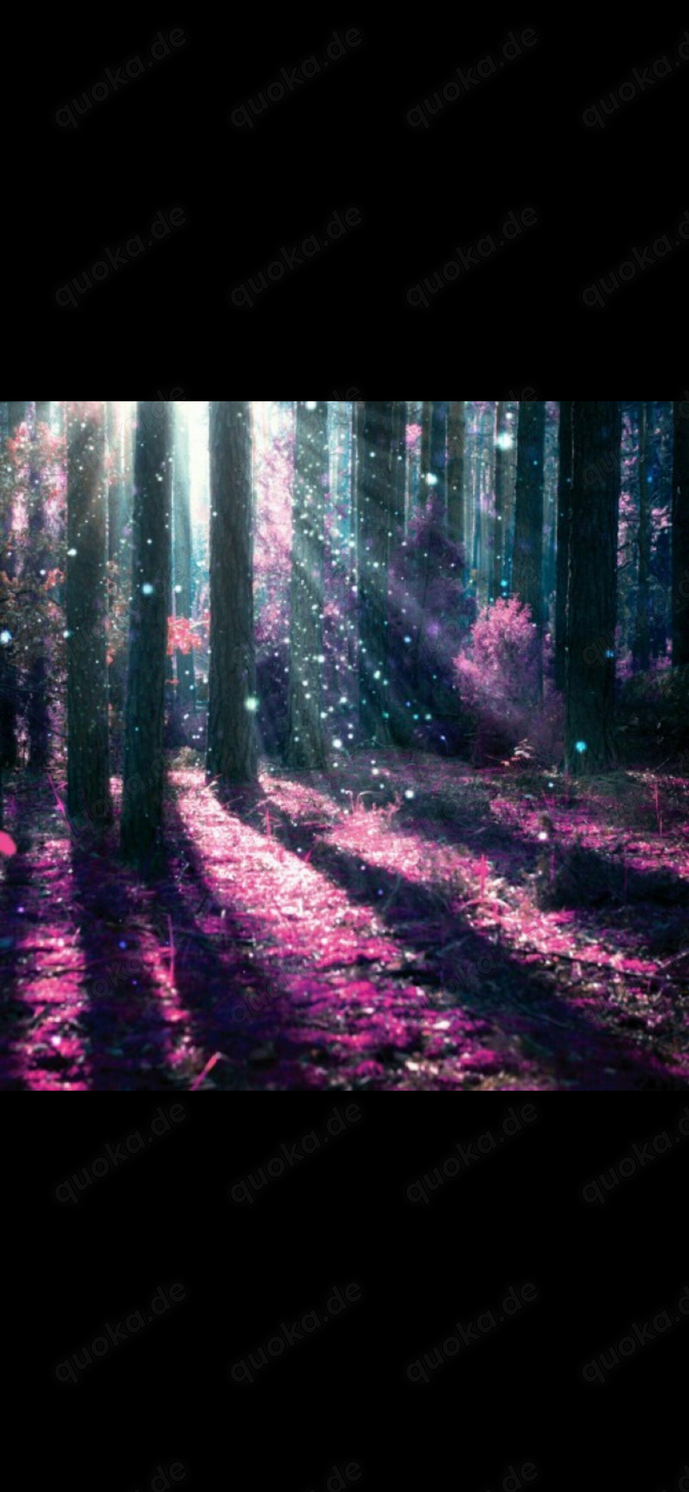 Partnerrückführung,Kartenlegen treffsichere und kompetente Beratung 