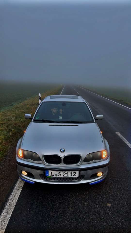BMW 320 320i