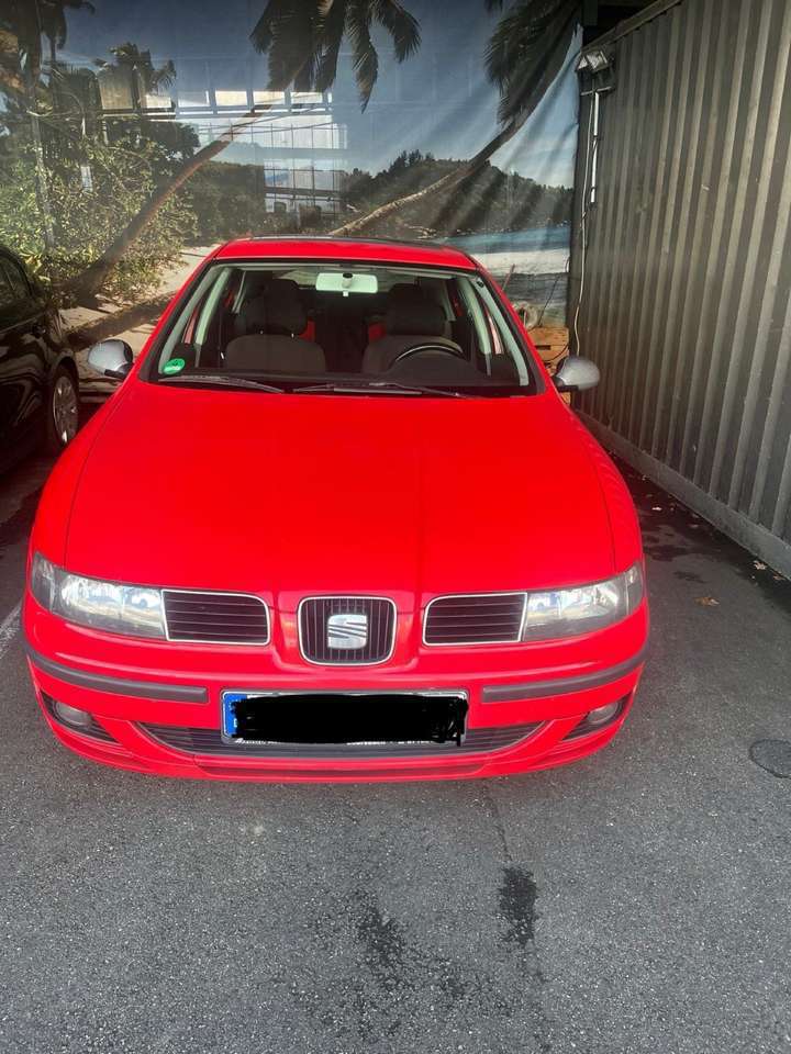 SEAT Leon 2 - fach bereift