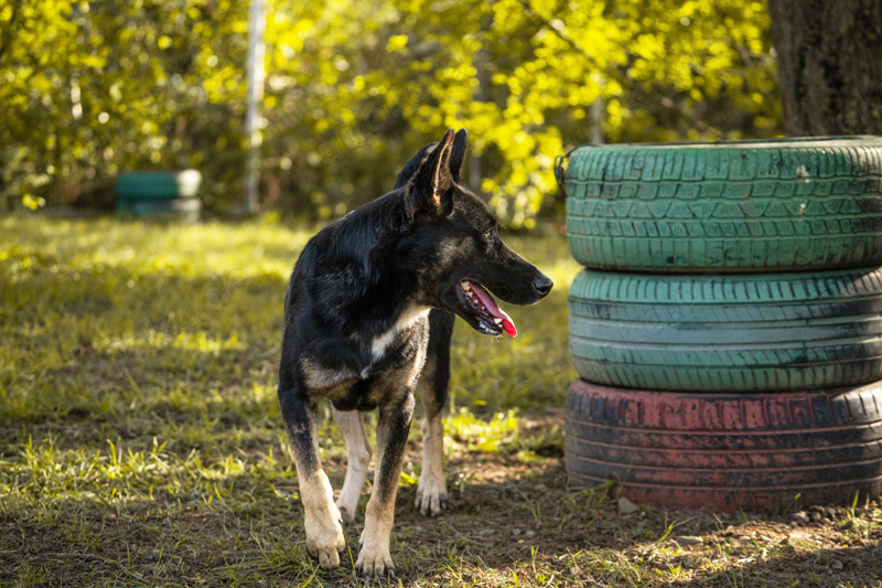 *DUSTER* - eher ruhig und behaglich