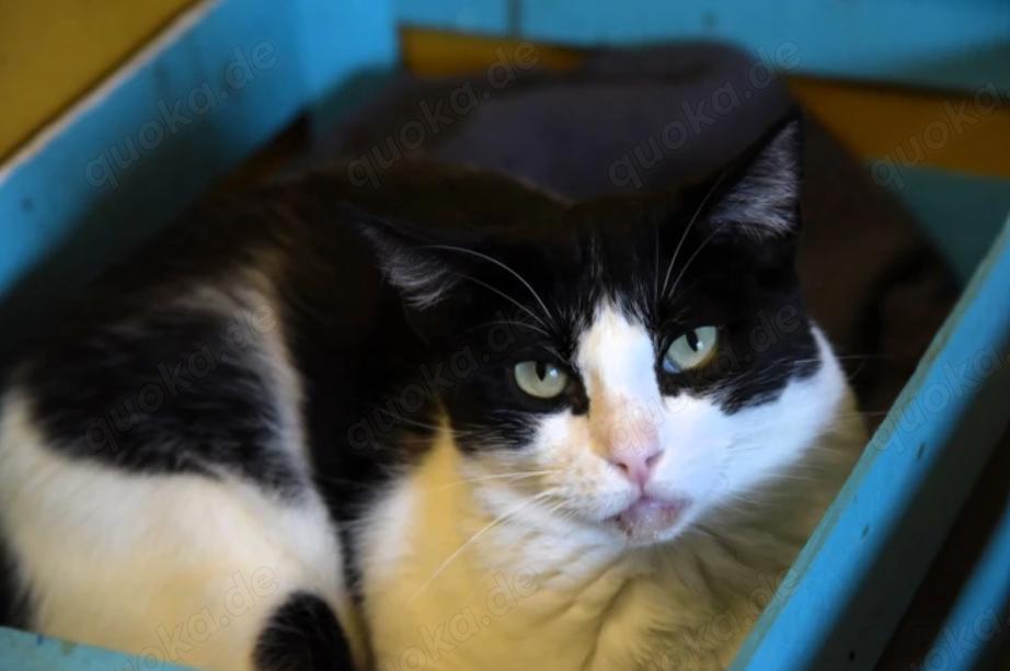 STACY - neugierig, skeptisch und zurückhaltend