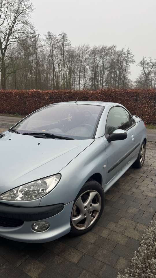 Peugeot 206 206 1.6 Cabrio