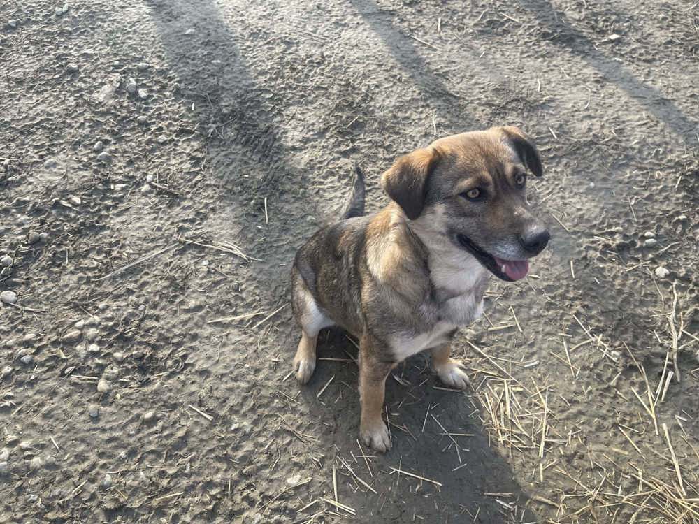 Alia - Lebensfreude pur