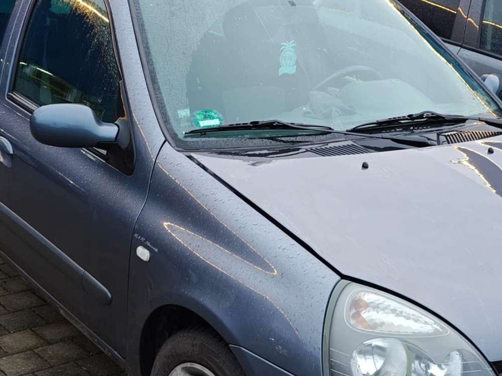 Renault Clio 1.2 16V Ripcurl Euro 4