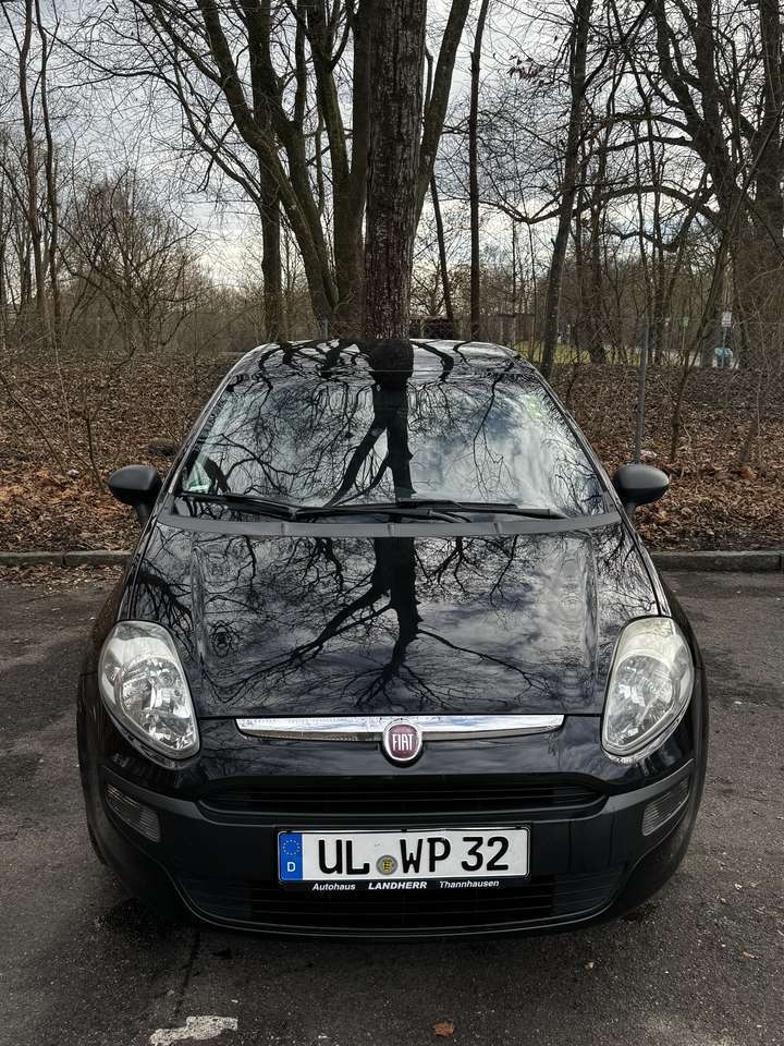 Fiat Punto Evo