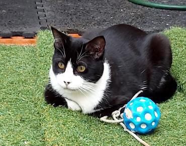 Schatz Biky in Ffm(ALO)