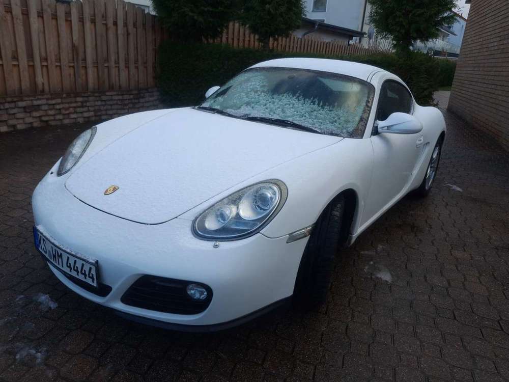 Porsche Cayman Cayman