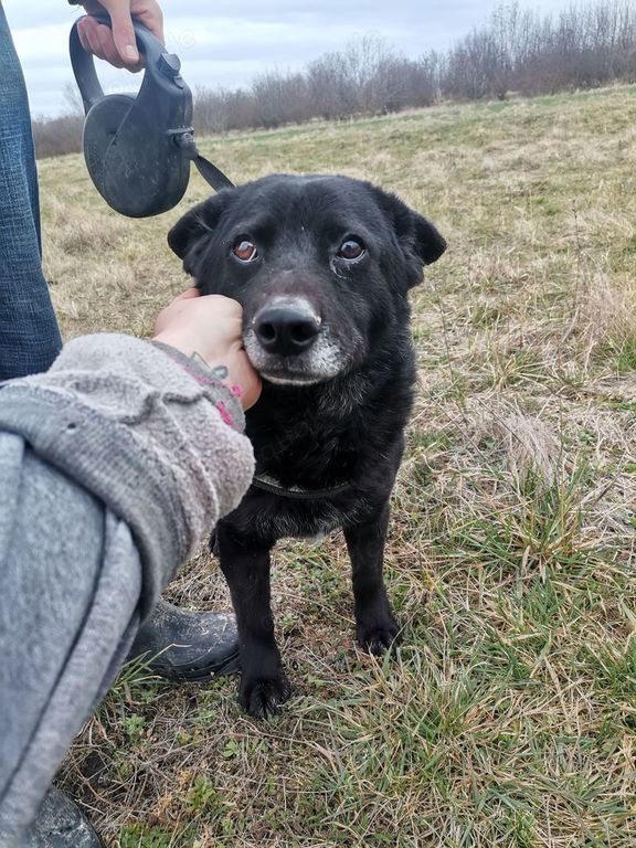 Toller Typ sucht Endzuhause