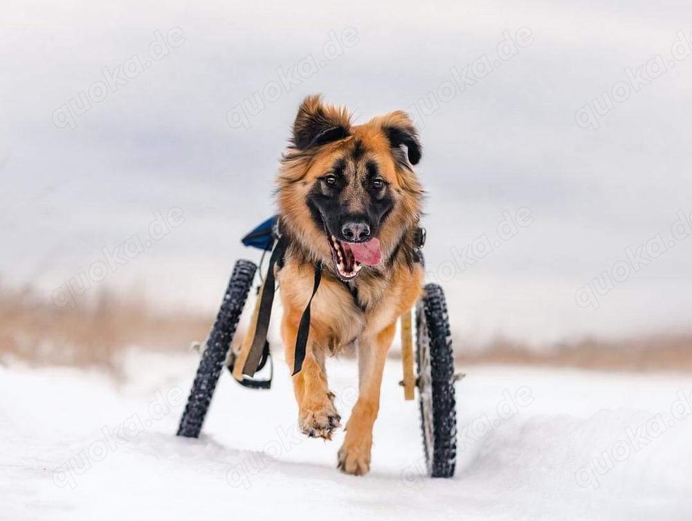 Besonderer Enger sucht tolle Menschen