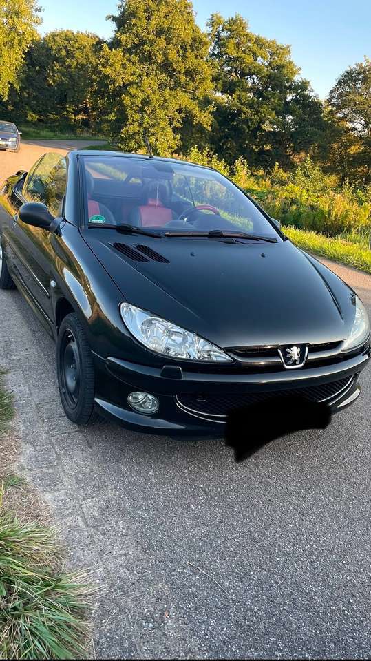 Peugeot 206 206 CC 110