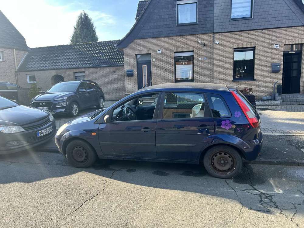 Ford Fiesta Viva X