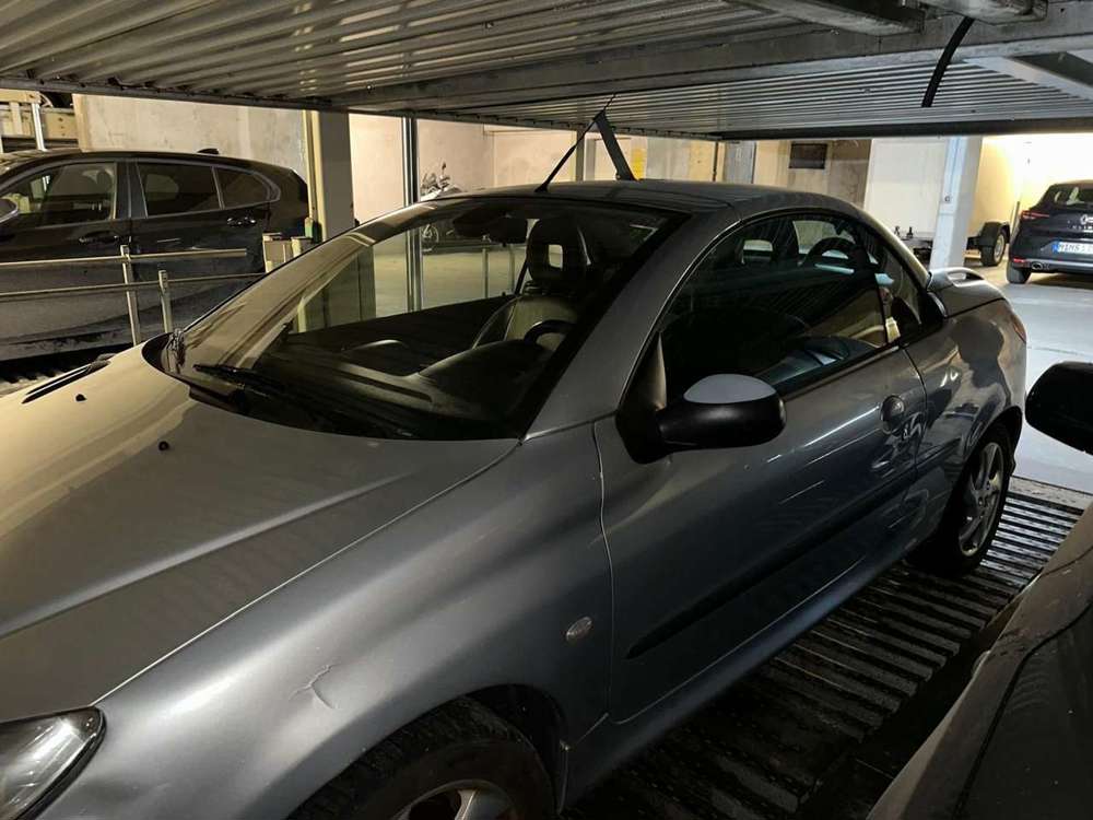 Peugeot 206 206 CC 110