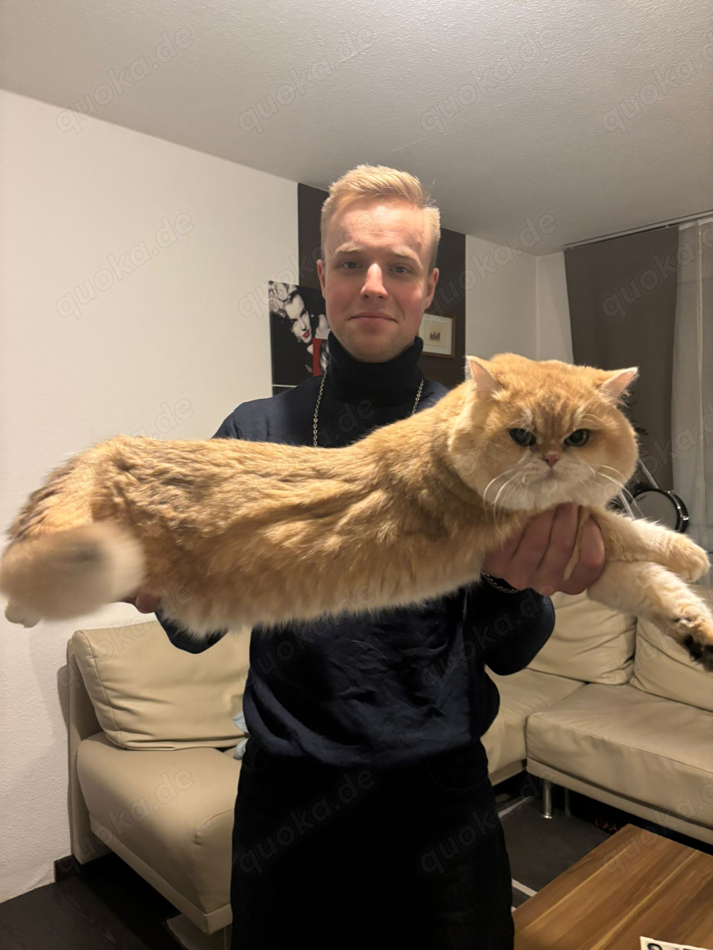 Deckkater    Nicht zum verkaufen  