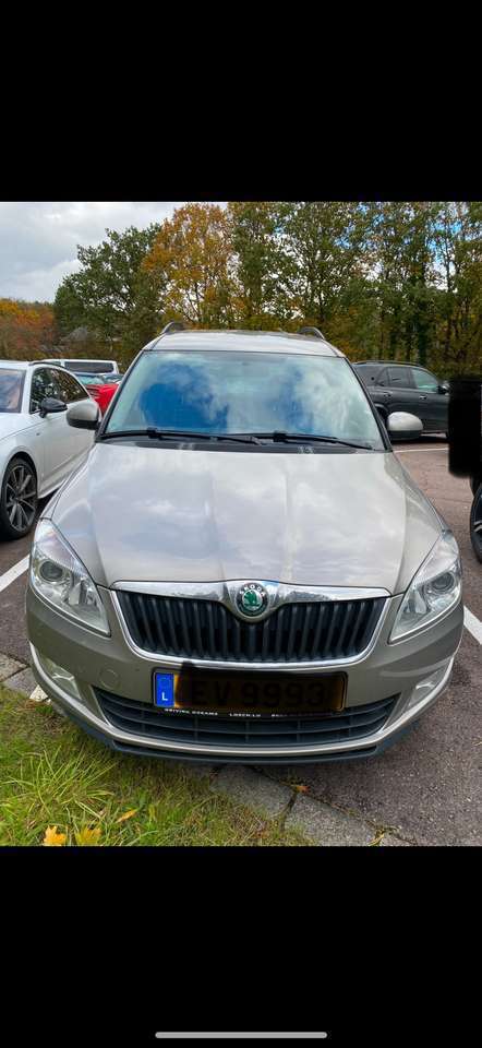 Skoda Roomster Roomster 1.2 TSI DSG Elegance