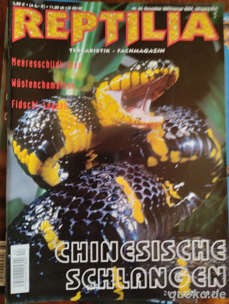 Ältere Reptilias 