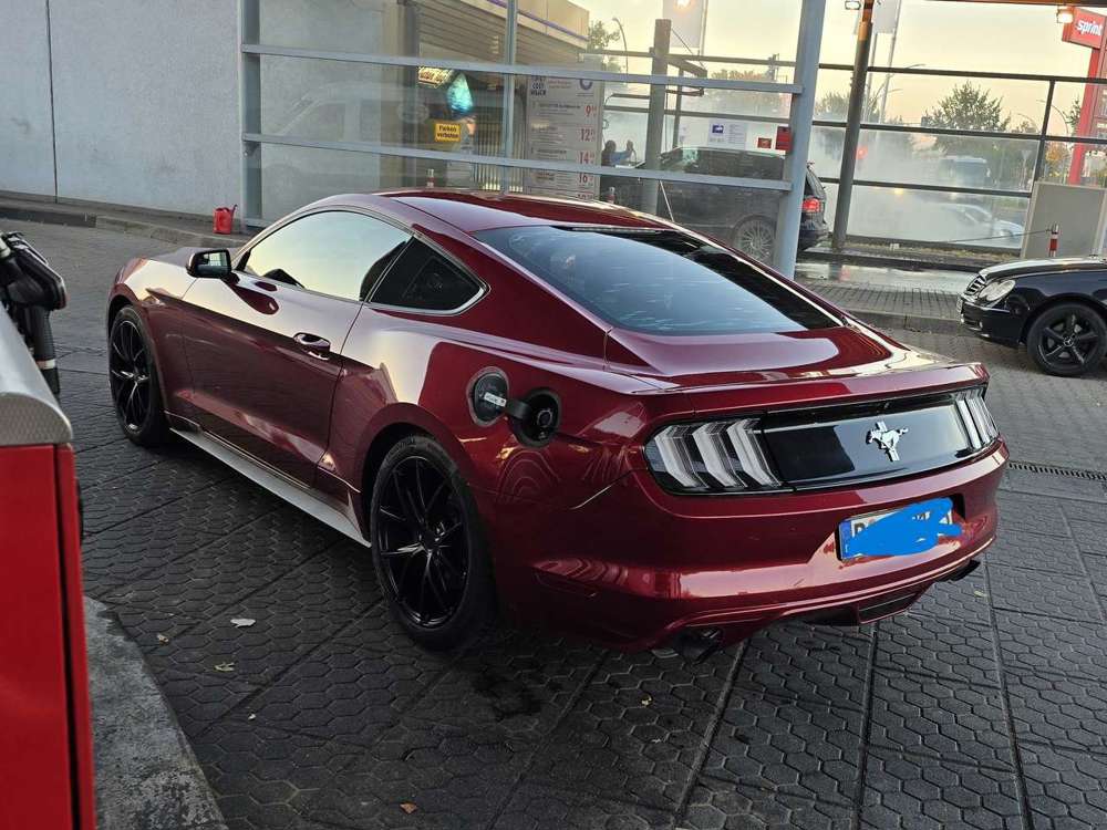 Ford Mustang 3.7L GT-Look|US-Import |GT-Bremsen Frischer TÜV