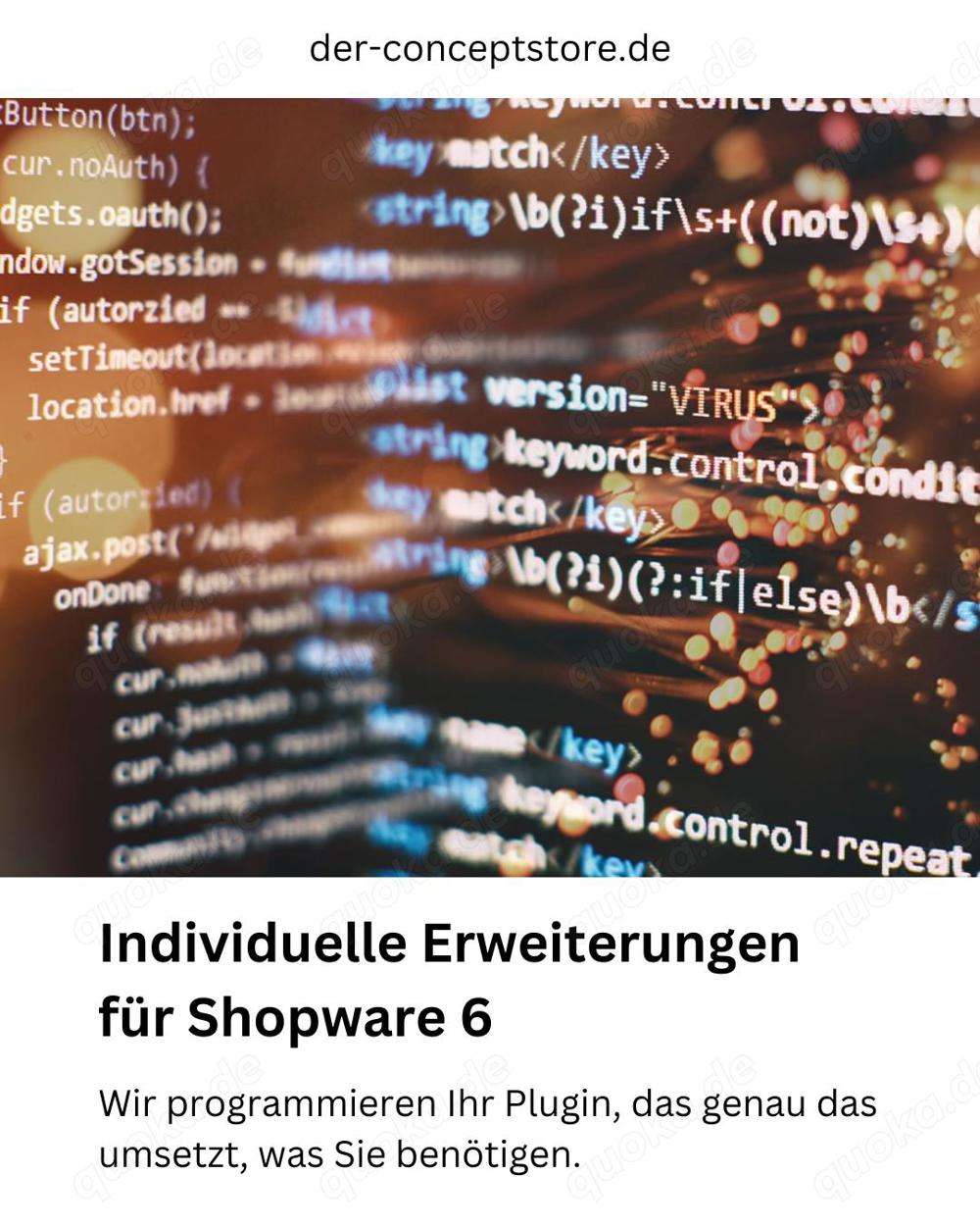 Individuelle Erweiterungen Plugins für Shopware 6