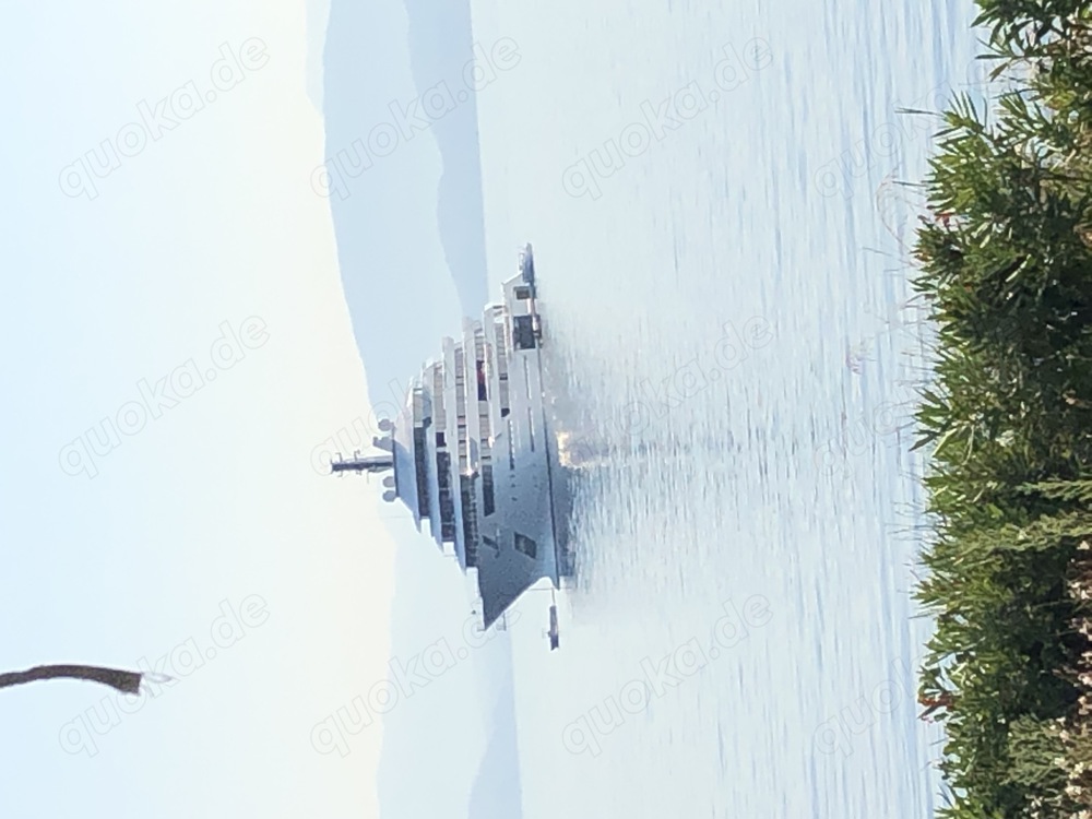 Millionär sucht seine Traumfrau 