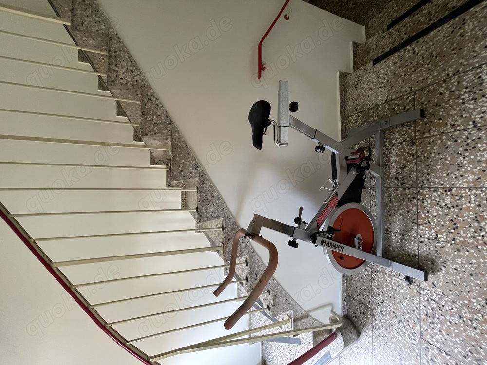 Hammer Speedbike gebraucht puristisch , 