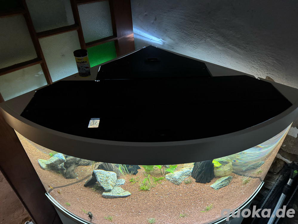 eck aqwarium 350L 