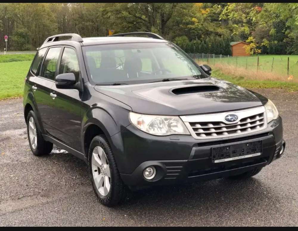 Subaru Forester 2.0D Xenon, Pano -- Motor Schaden