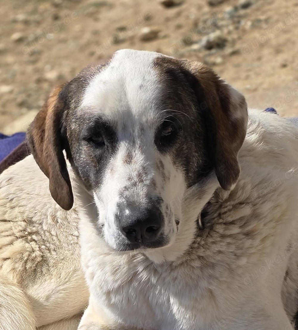 Gary ist ein cleveres Kerlchen 