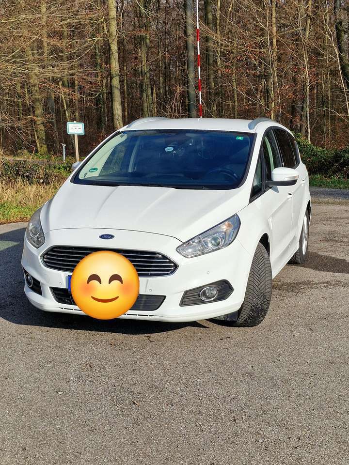 Ford S-Max 2.0 tdci Business awd ss 150cv 7p.ti