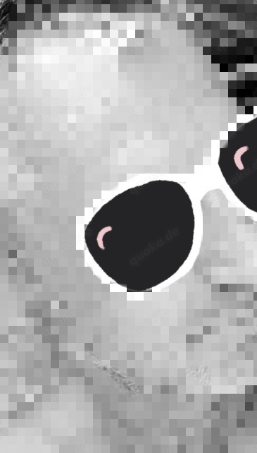 Schöner steifer großer Schwanz..