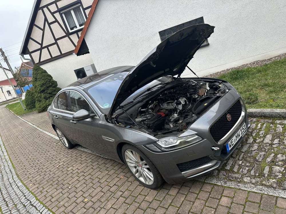 Jaguar XF 20d Aut. Portfolio - Motorschaden
