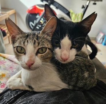 Brian und Maya (ALO)