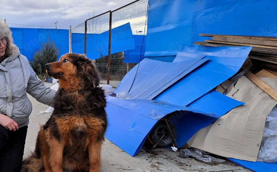 Neelix wartet schon so lange