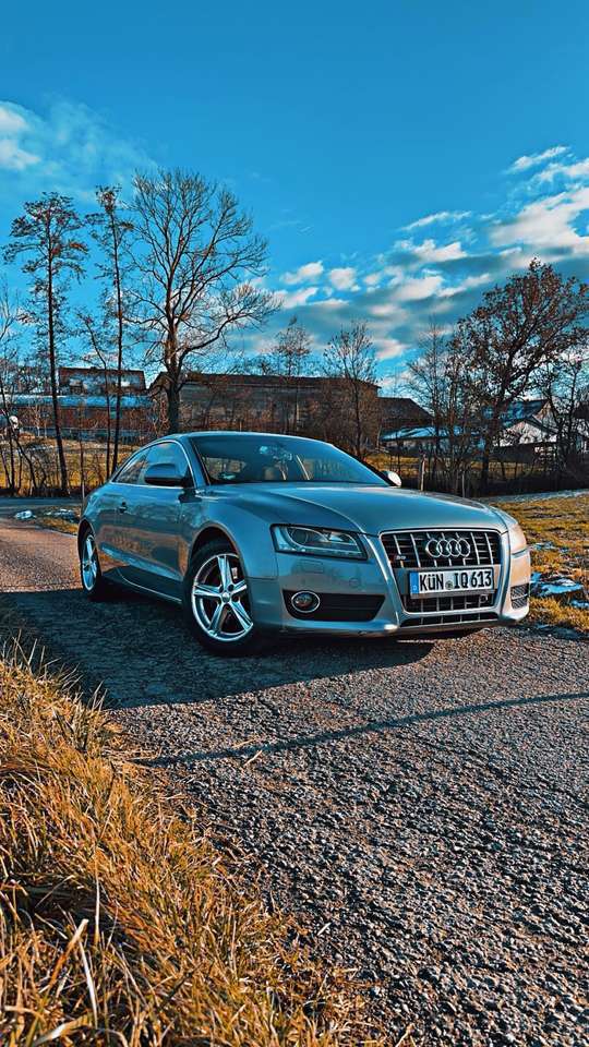 Audi A5 3.0 TDI DPF quattro tiptronic