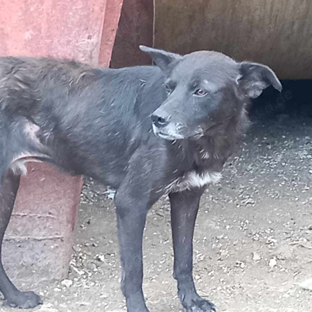 Marius hätte gerne ein Zuhause für immer