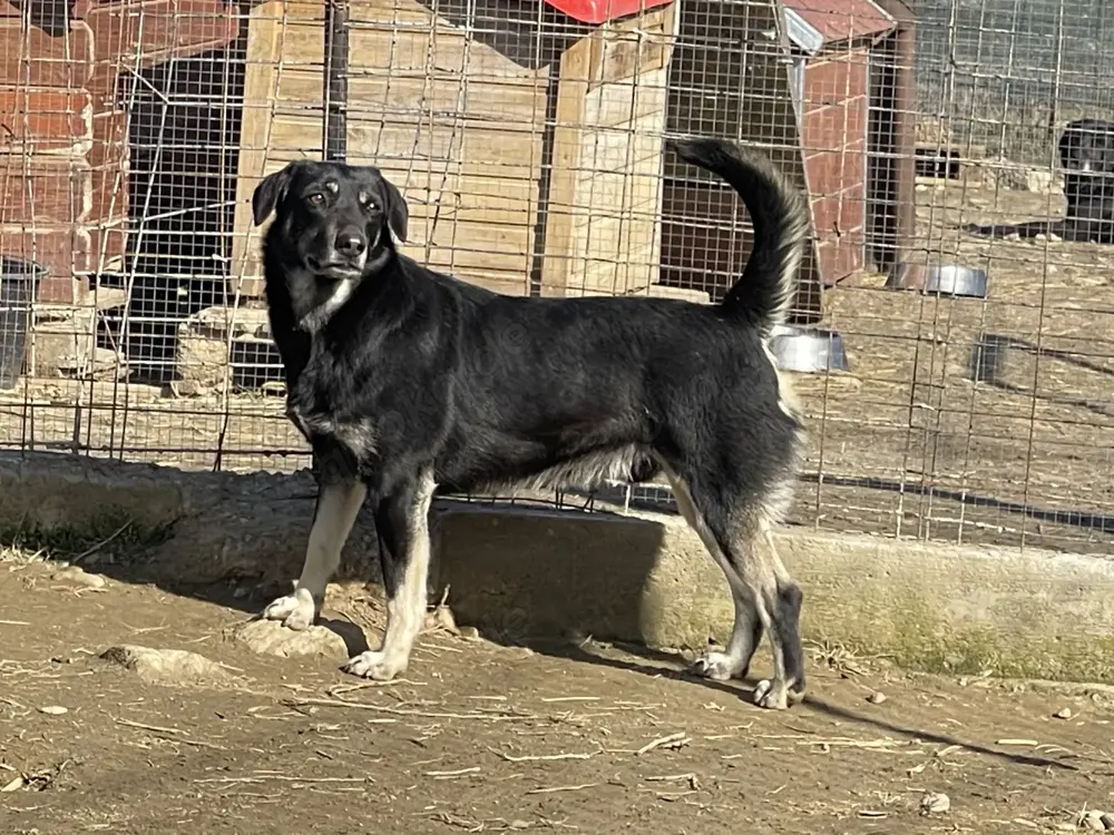 ERIK (Geb. 2021) - treu und herzlich ein Leben lang