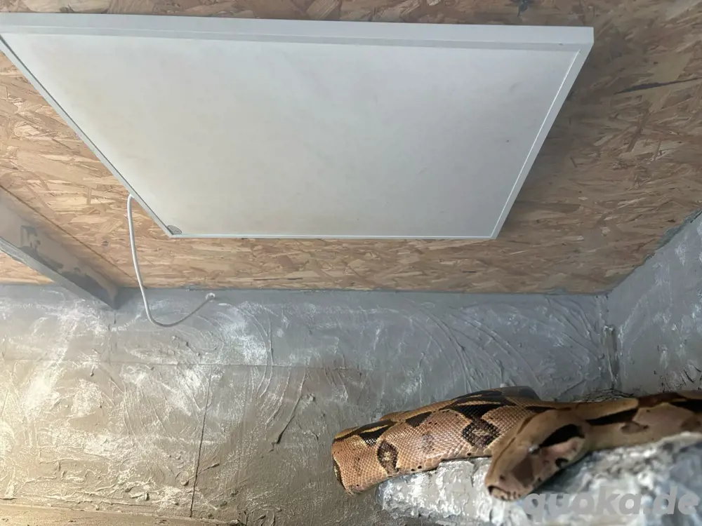 Könighaus Heatpanel