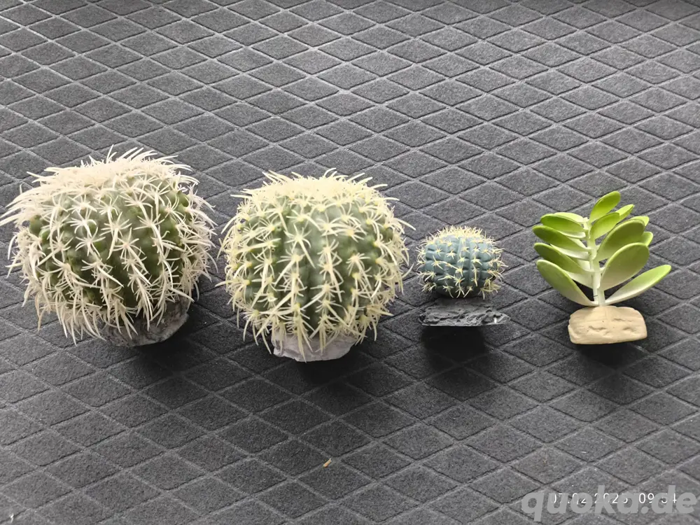 Dekoration für Aquarien & Terrarien