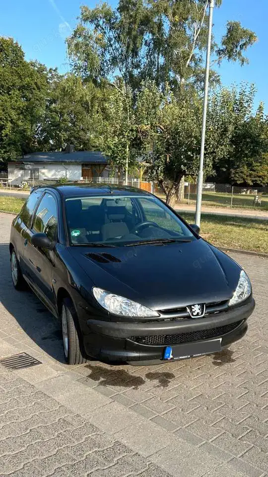 Peugeot 206 60 Petit Filou