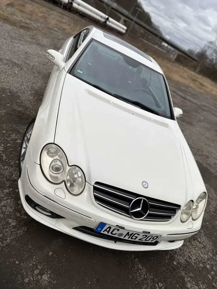 Mercedes-Benz CLK 55 AMG CLK+Coupe+55+AMG