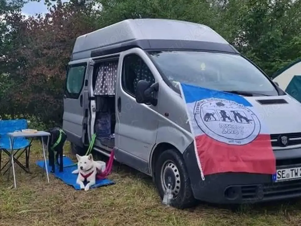 Opel Vivaro Kasten L2H2 2,9t