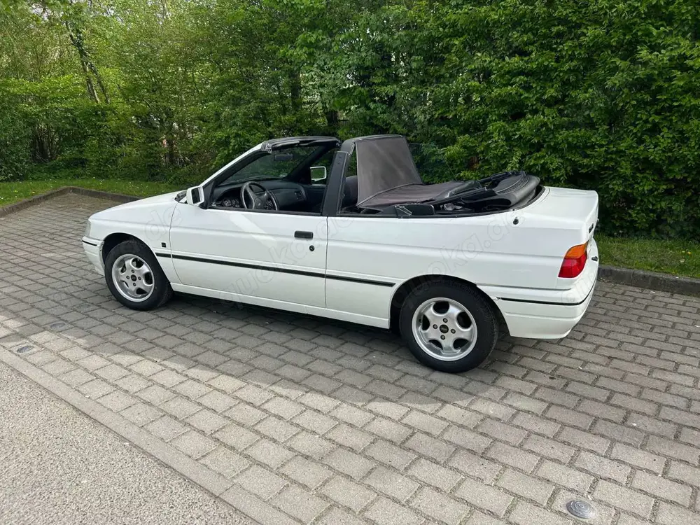 Ford Escort Escort CLX