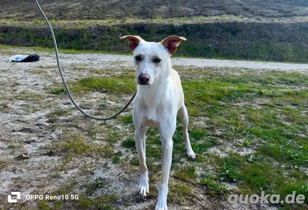 YASMIN wünscht sich eine eigene Familie