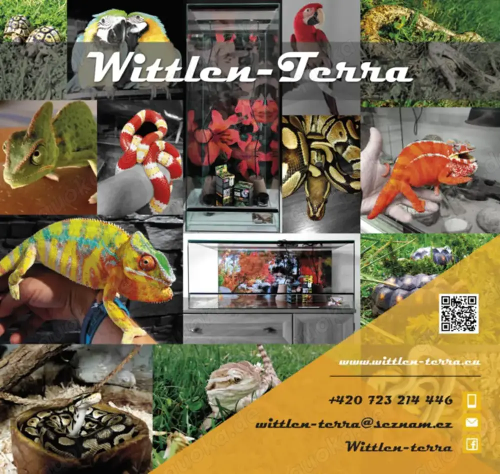 Aquarien und Terrarien